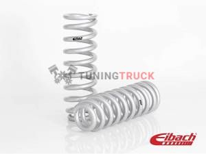 Пружины задней подвески для Dodge Ram 1500 2009-18
