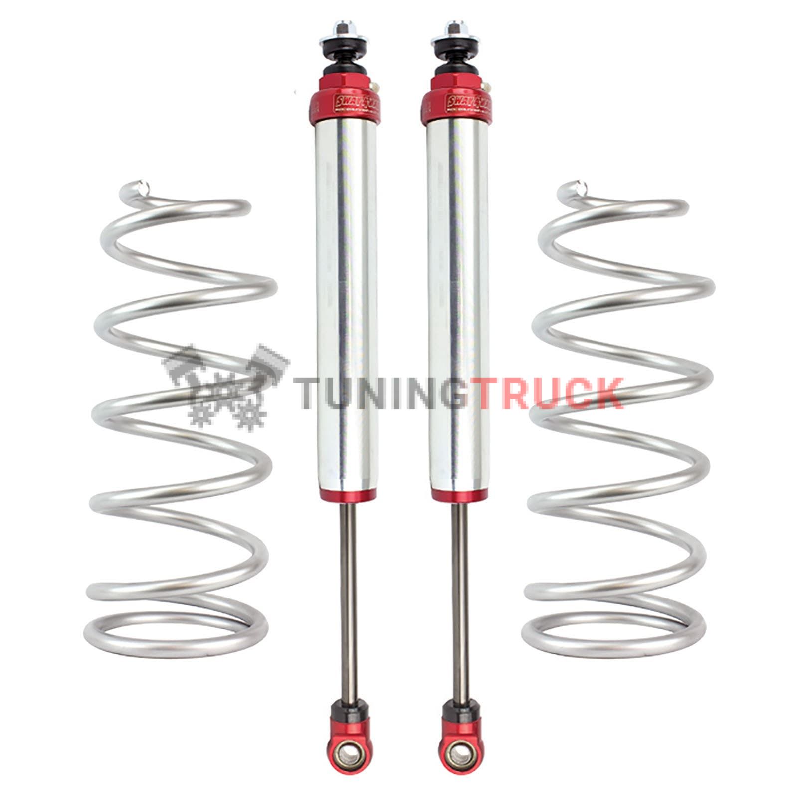 Амортизаторы задние с пружинами для Toyota FJ 2007-14 | 4Runner 03-15 корпус 2"  
