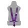 Ремень 5-ти точечный 3" SFI Approved Racing Harness - Purple